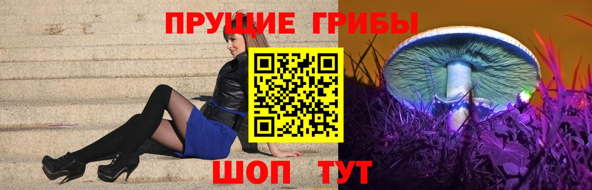 Галлюциногенные грибы GOLDEN TEACHER Каспийск
