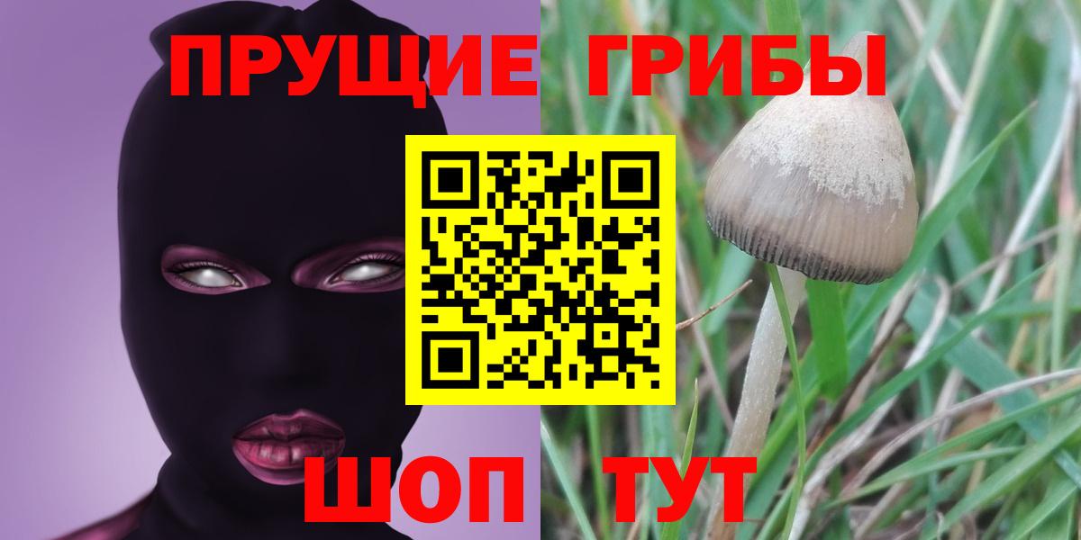 Псилоцибиновые грибы GOLDEN TEACHER  Галлюциногенные грибы Magic Shrooms  Вход с VPN  Каспийск 